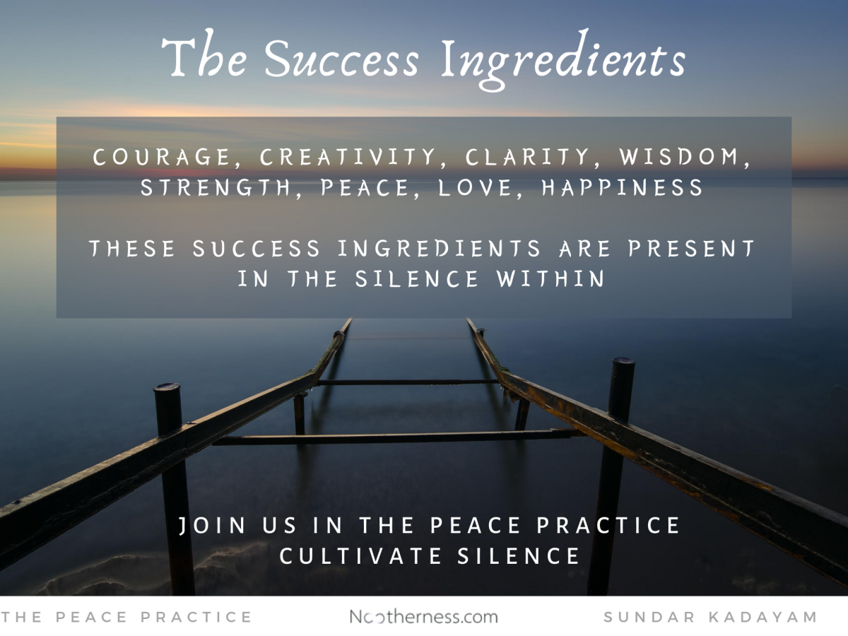 Unleashing the Ingredients of Success in Life – The Peace Practice