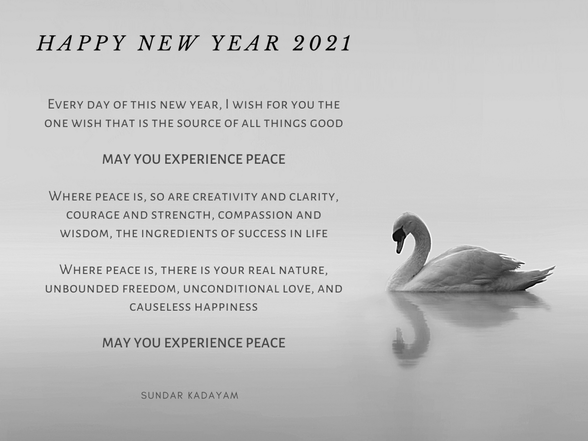 A New Year Wish For You